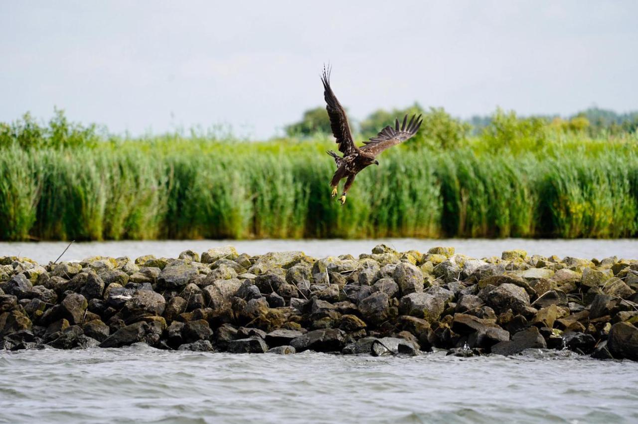 B&B Logeren Bij De Burgemeester Stad aan 't Haringvliet エクステリア 写真